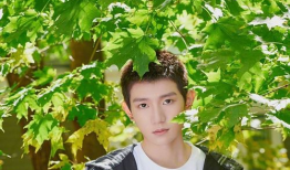 爆料吃瓜杨迪微博,揭秘娱乐圈背后的秘密与真相