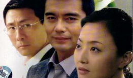 密码电视剧,揭秘国家安全背后的生死较量