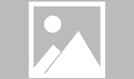 动漫义母,动漫中的母爱传奇